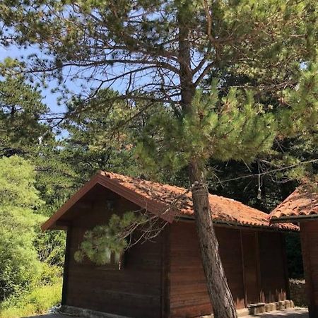 Вилла The Old Man'S Chalet Dukat Экстерьер фото
